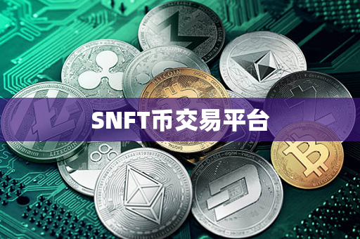 SNFT币交易平台