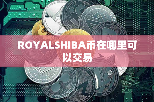 ROYALSHIBA币在哪里可以交易第1张-链盟网