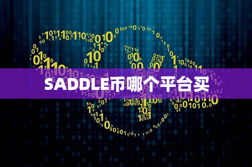 SADDLE币哪个平台买第1张-链盟网