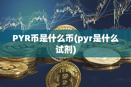 PYR币是什么币(pyr是什么试剂)第1张-链盟网