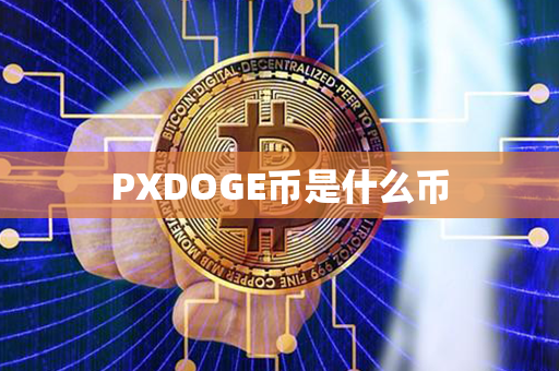 PXDOGE币是什么币第1张-链盟网