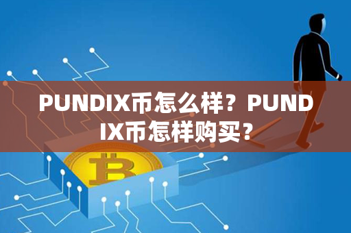 PUNDIX币怎么样？PUNDIX币怎样购买？第1张-链盟网