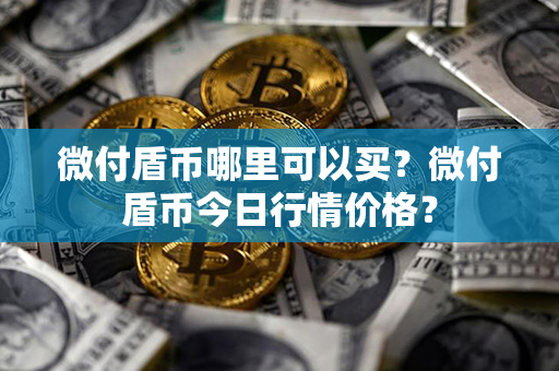 微付盾币哪里可以买？微付盾币今日行情价格？第1张-链盟网