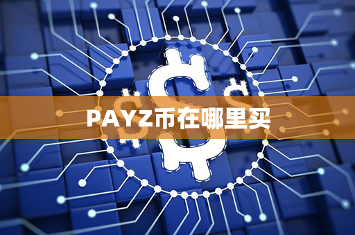 PAYZ币在哪里买第1张-链盟网