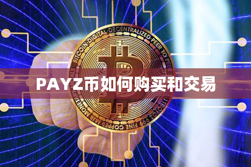 PAYZ币如何购买和交易第1张-链盟网