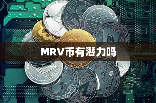 MRV币有潜力吗第1张-链盟网