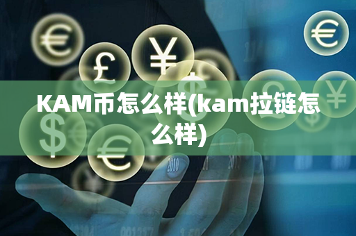 KAM币怎么样(kam拉链怎么样)第1张-链盟网