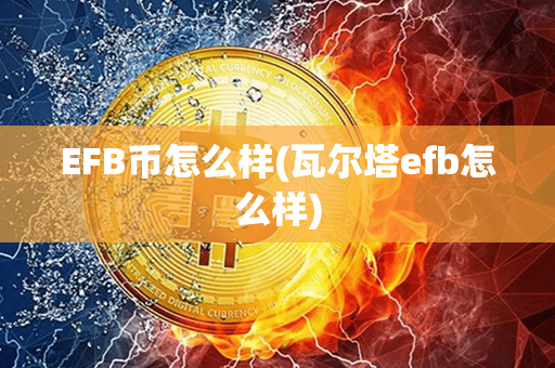 EFB币怎么样(瓦尔塔efb怎么样)