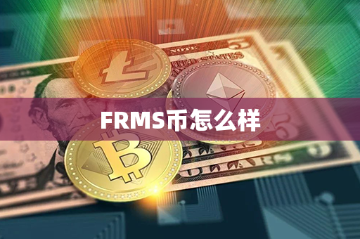 FRMS币怎么样