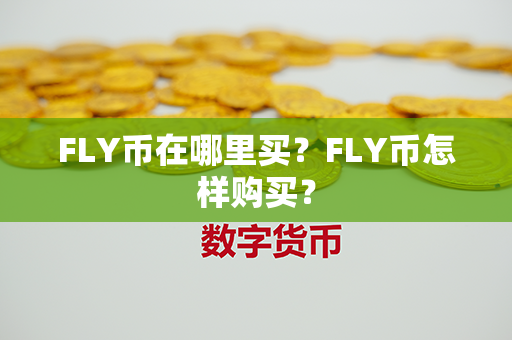 FLY币在哪里买？FLY币怎样购买？第1张-链盟网