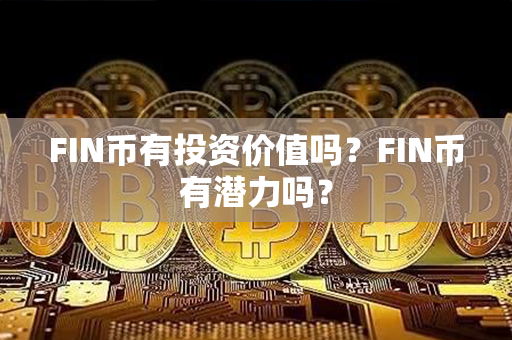 FIN币有投资价值吗？FIN币有潜力吗？第1张-链盟网