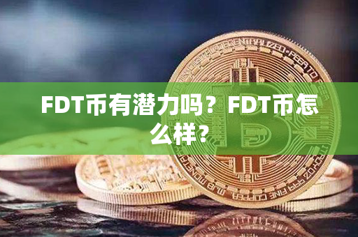 FDT币有潜力吗？FDT币怎么样？第1张-链盟网