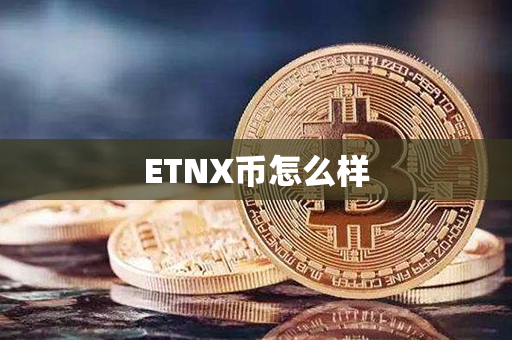 ETNX币怎么样第1张-链盟网