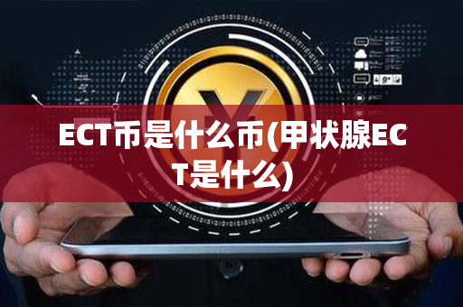 ECT币是什么币(甲状腺ECT是什么)