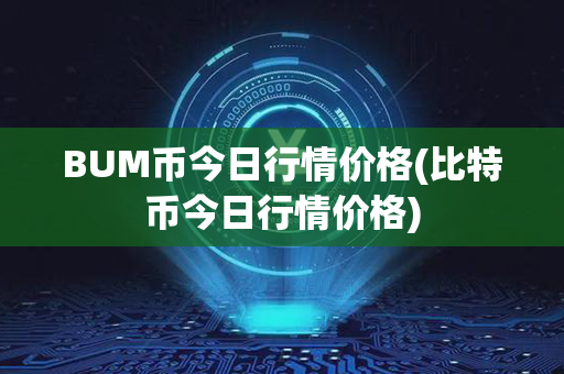 BUM币今日行情价格(比特币今日行情价格)第1张-链盟网