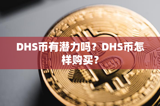 DHS币有潜力吗？DHS币怎样购买？第1张-链盟网