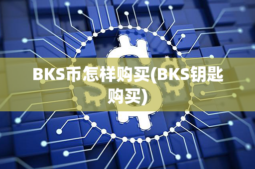 BKS币怎样购买(BKS钥匙购买)第1张-链盟网