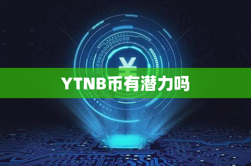 YTNB币有潜力吗第1张-链盟网