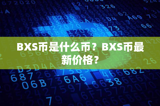 BXS币是什么币？BXS币最新价格？第1张-链盟网