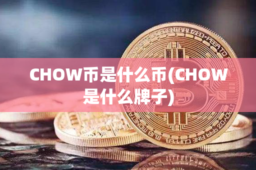 CHOW币是什么币(CHOW是什么牌子)第1张-链盟网