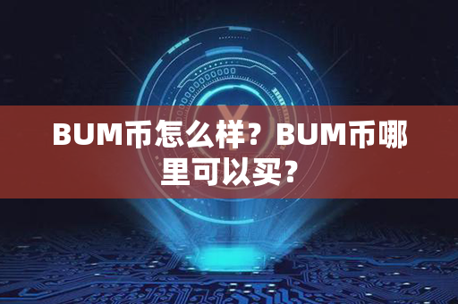 BUM币怎么样？BUM币哪里可以买？第1张-链盟网