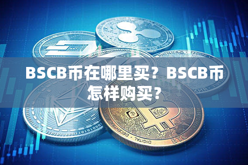 BSCB币在哪里买？BSCB币怎样购买？第1张-链盟网