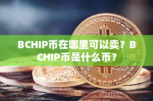 BCHIP币在哪里可以卖？BCHIP币是什么币？