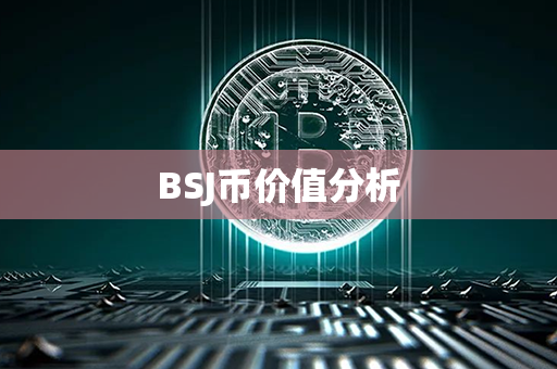 BSJ币价值分析