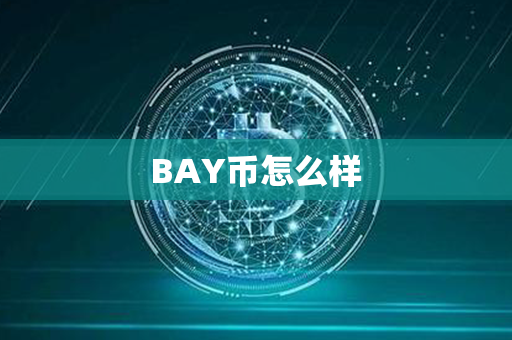 BAY币怎么样