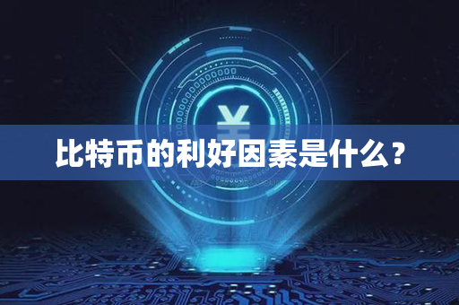 比特币的利好因素是什么？