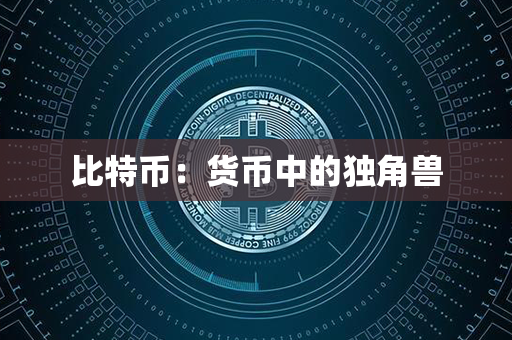 比特币：货币中的独角兽