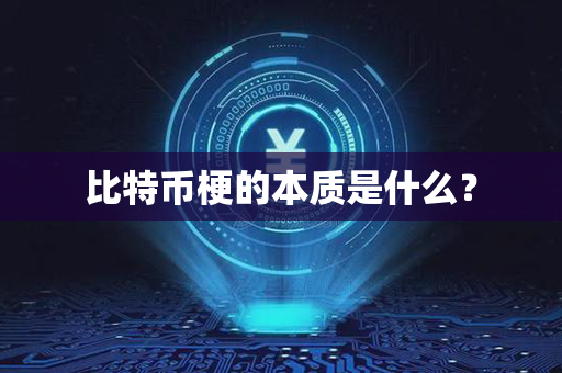 比特币梗的本质是什么？第1张-链盟网