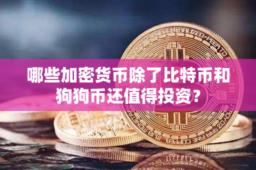 哪些加密货币除了比特币和狗狗币还值得投资？