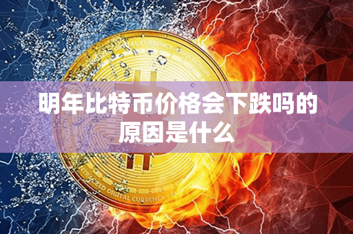 明年比特币价格会下跌吗的原因是什么第1张-链盟网