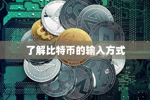 了解比特币的输入方式