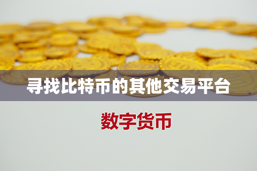 寻找比特币的其他交易平台第1张-链盟网