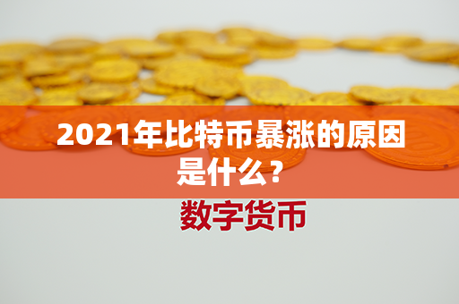 2021年比特币暴涨的原因是什么？第1张-链盟网