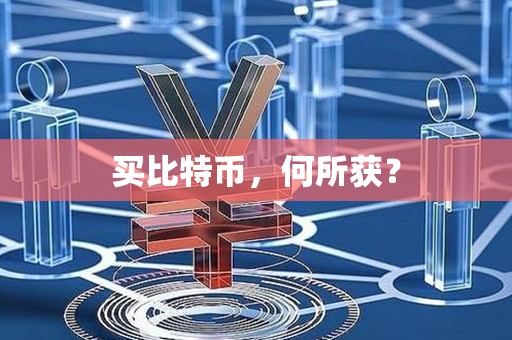 买比特币，何所获？第1张-链盟网