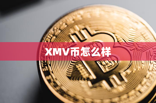 XMV币怎么样第1张-链盟网