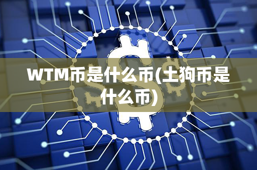 WTM币是什么币(土狗币是什么币)