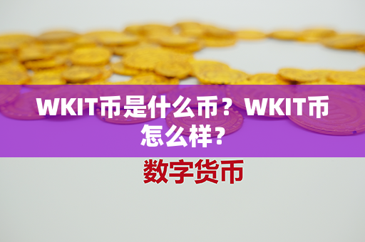 WKIT币是什么币？WKIT币怎么样？第1张-链盟网