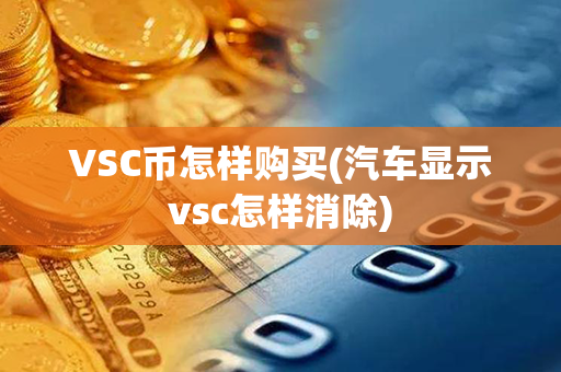 VSC币怎样购买(汽车显示vsc怎样消除)