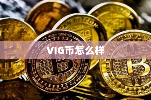 VIG币怎么样第1张-链盟网