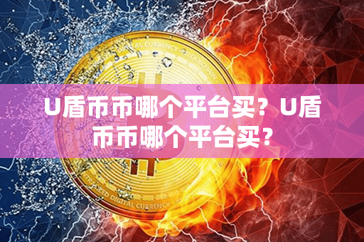 U盾币币哪个平台买？U盾币币哪个平台买？