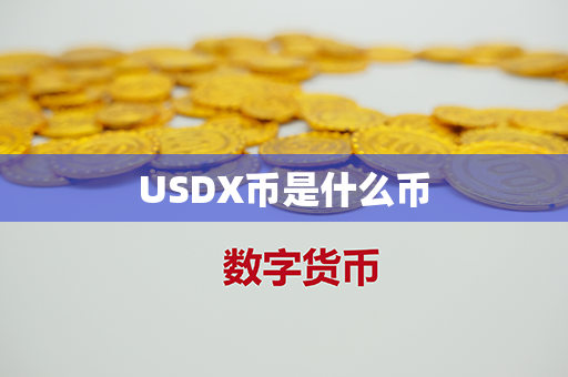 USDX币是什么币