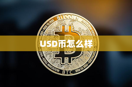 USD币怎么样第1张-链盟网