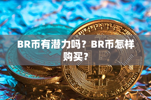 BR币有潜力吗？BR币怎样购买？