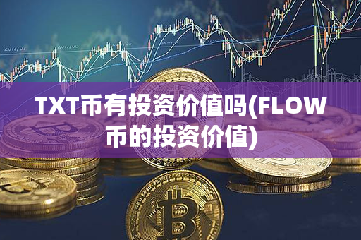 TXT币有投资价值吗(FLOW币的投资价值)