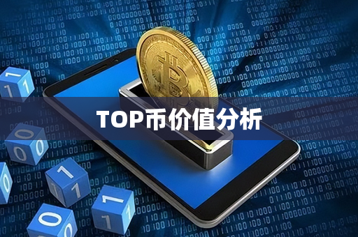 TOP币价值分析