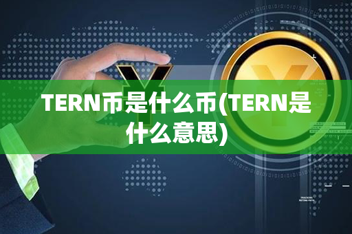 TERN币是什么币(TERN是什么意思)第1张-链盟网